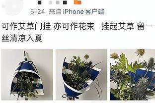 斯基拉：德罗西愿意担任罗马临时教练，预计今天和高层会面